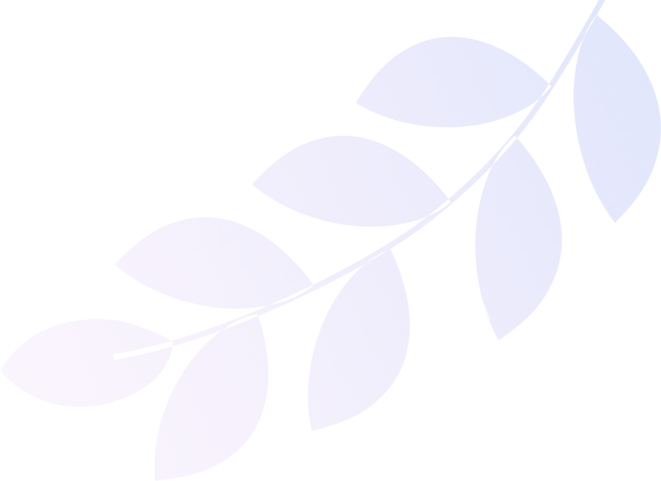 Shape Images